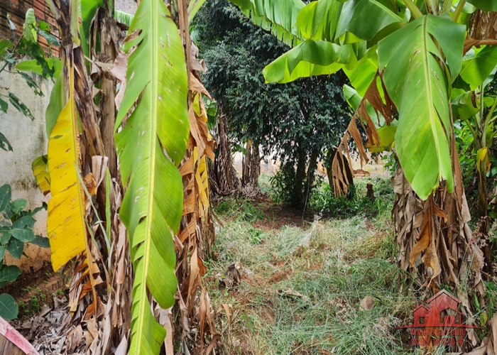 Excelente Terreno a Venda no Altos da Cidade em Bauru