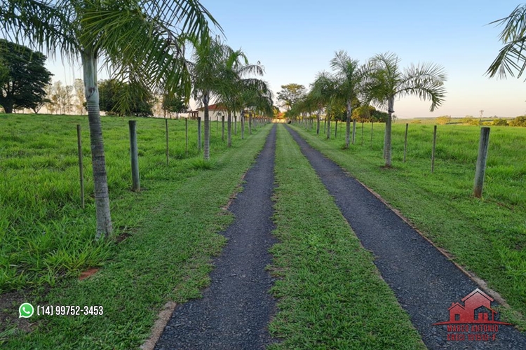 Excelente Sítio a Venda de 7,5 Alqueires na Região de Pirajuí/SP