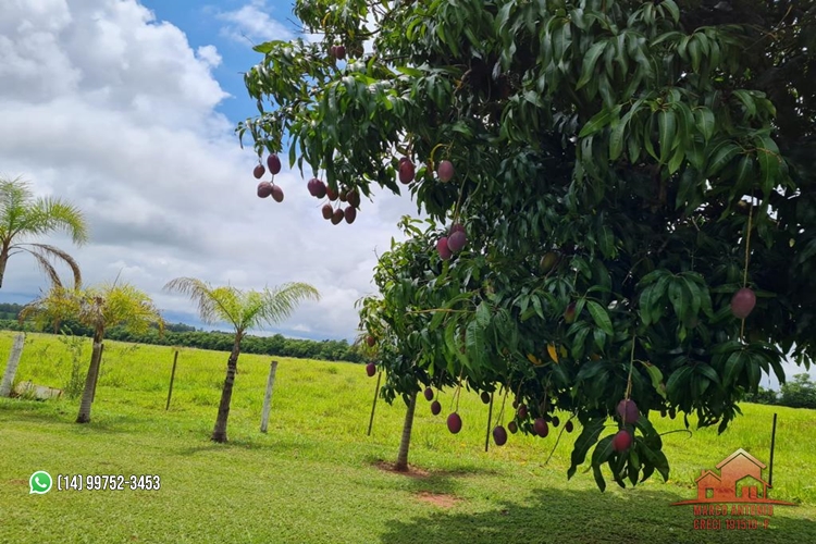 Excelente Sítio a Venda de 7,5 Alqueires na Região de Pirajuí/SP