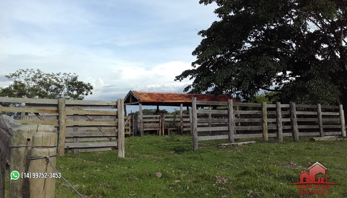 Excelente Fazenda á venda na Região de Garça-SP