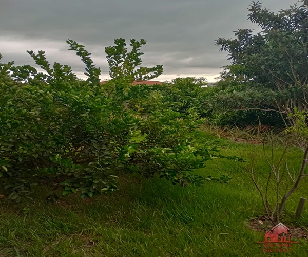 Excelente Rancho no Clube Náutico Santa Amélia em Iacanga- SP