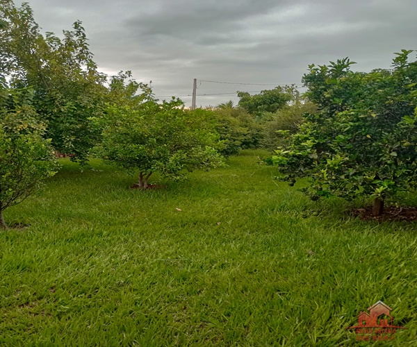 Excelente Rancho no Clube Náutico Santa Amélia em Iacanga- SP