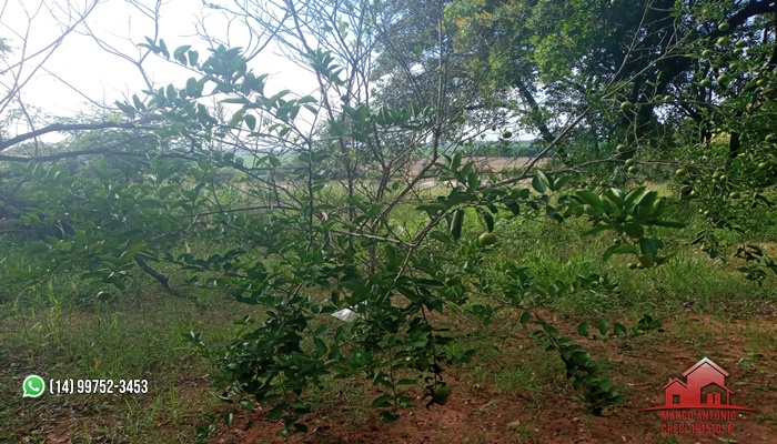 Excelente Sítio a Venda em Arealva -SP